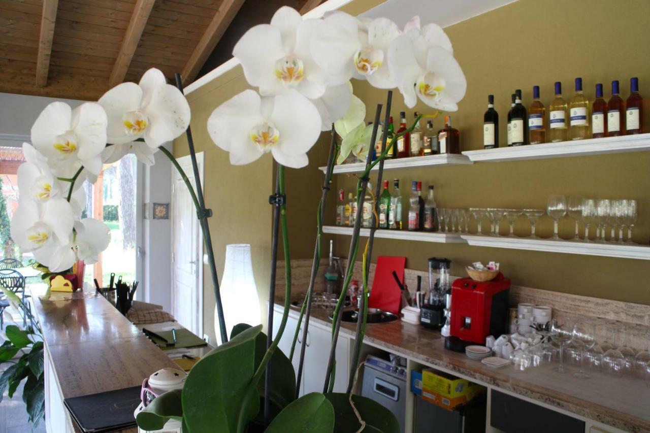 Aparthotel La Fattoria Di Tirrenia